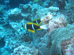 CIMG1268.JPG