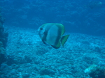 CIMG1283.JPG