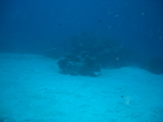 CIMG2580.JPG