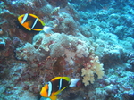 CIMG2644.JPG