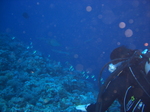 CIMG2945.JPG