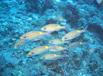 CIMG2955.JPG