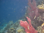 CIMG3039.JPG